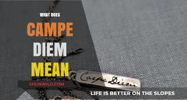 Understanding Carpe Diem: Seize the Day's Timeless Meaning and Impact