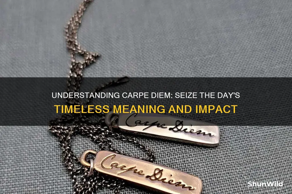 what does campe diem mean