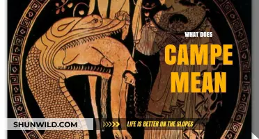 Understanding Campe: Origins, Meanings, and Cultural Significance Explained