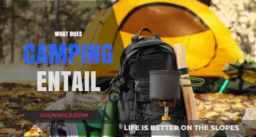 Exploring the Essentials: What Camping Entails for Outdoor Enthusiasts