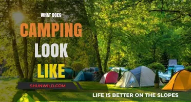 Exploring the Great Outdoors: What Does Camping Look Like?