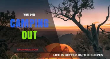 Exploring the Great Outdoors: What Does Camping Out Really Mean?