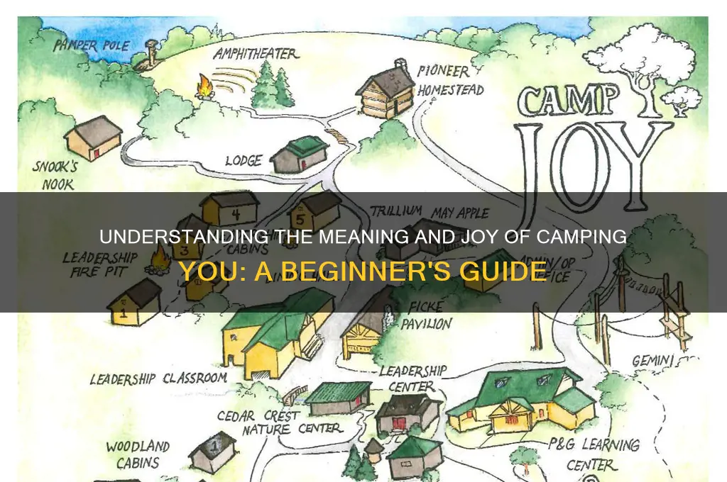 what does camping you mean