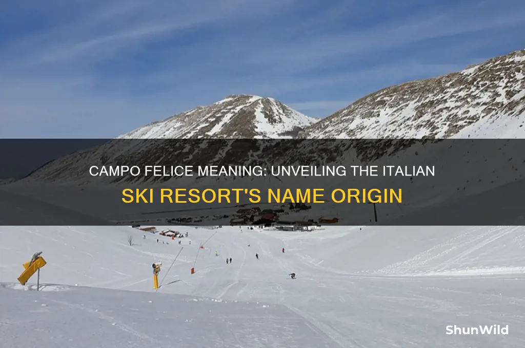 what does campo felice mean