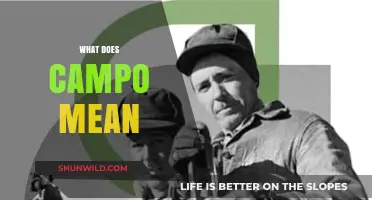 Understanding the Meaning and Origins of the Word Campo
