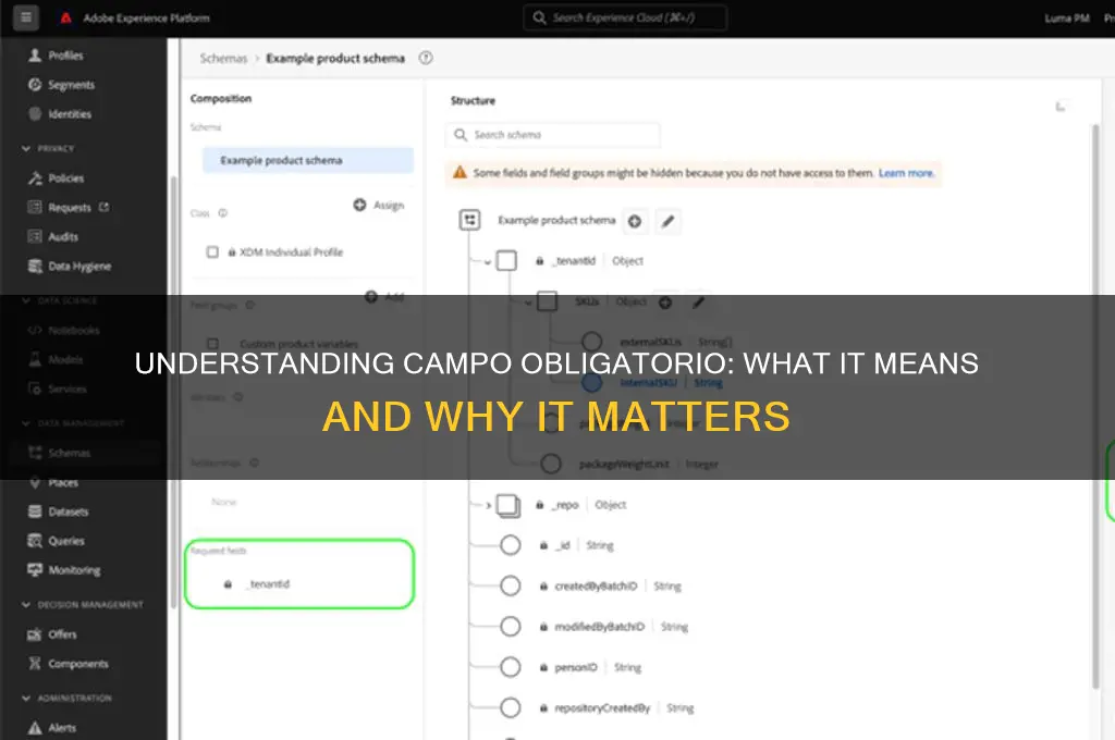 what does campo obligatorio mean