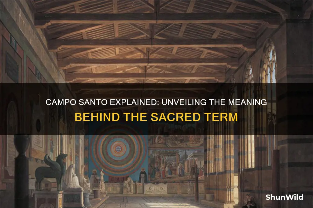 what does campo santo mean