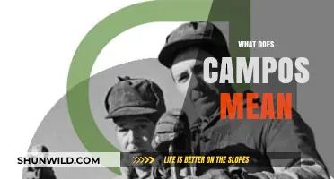 Understanding the Meaning and Origins of the Name Campos