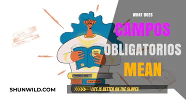 Understanding Campos Obligatorios: Essential Fields Explained in Simple Terms