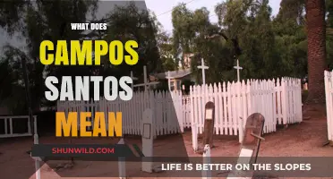 Understanding Campos Santos: Meaning, Origins, and Cultural Significance Explained