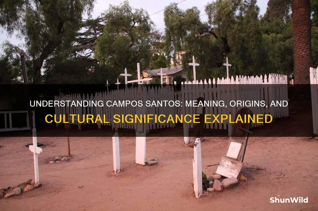 what does campos santos mean