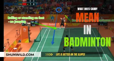 Understanding Badminton's Carry: A Beginner's Guide