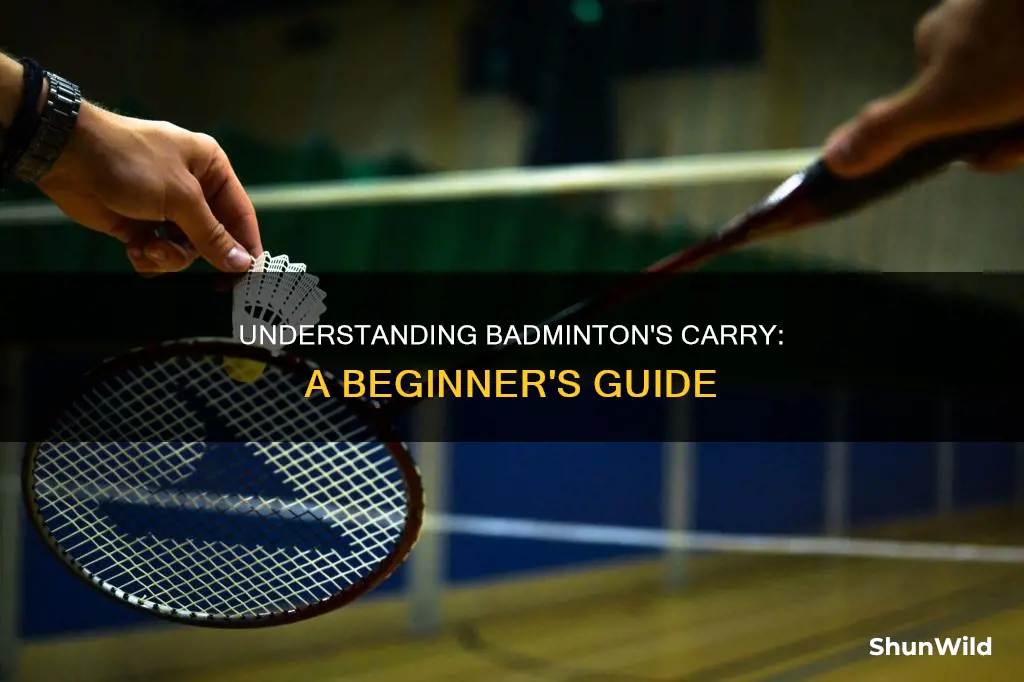 what does carry mean in badminton
