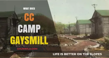 Unveiling the Meaning: What Does CC Camp Gaysmill Stand For?