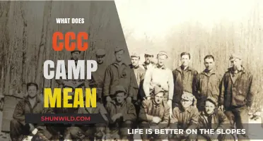Understanding CCC Camp: History, Purpose, and Impact Explained