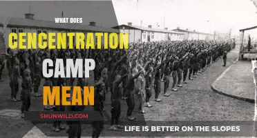 Understanding Concentration Camps: History, Definition, and Global Impact Explained