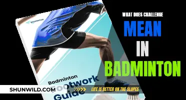 Understanding Badminton's Challenge System