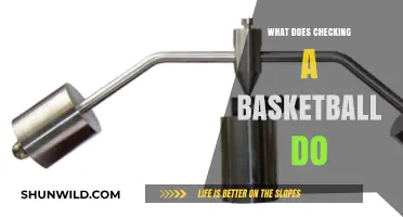 Checking Basketballs: The Art of Maintaining Perfection