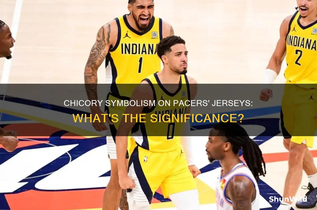 what does chicory stand for on the pacers basketball jersey