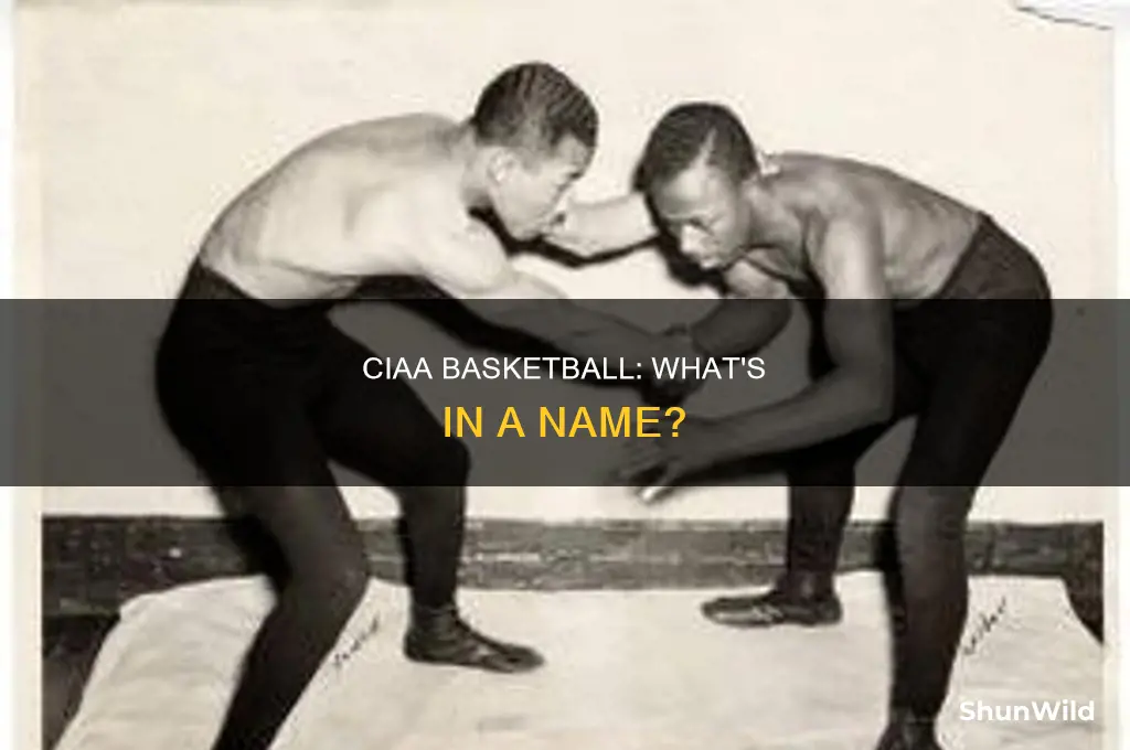 what does ciaa basketball stand for