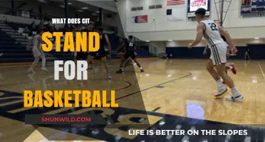 Understanding the CIT: Basketball's Competitive Improvement Tournament