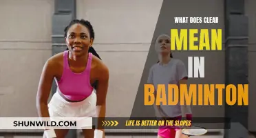 Understanding the 'Clear' Shot in Badminton