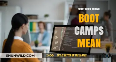 Understanding Coding Boot Camps: Intensive Learning for Aspiring Developers
