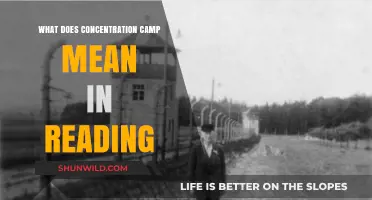 Understanding Concentration Camps: Historical Context and Literary Interpretations
