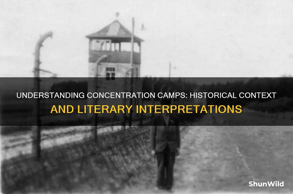 what does concentration camp mean in reading