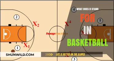 Understanding the D: Basketball's Defensive Strategies