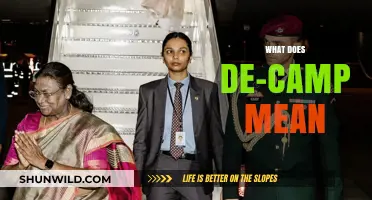 Understanding the Meaning and Usage of De-Camp in Everyday Language