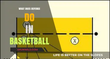 Defense: The Art of Basketball Control