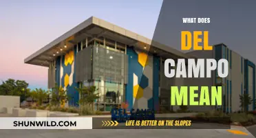 Understanding the Meaning and Origins of 'Del Campo' in Spanish Culture