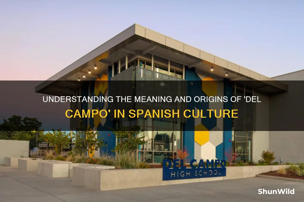 what does del campo mean
