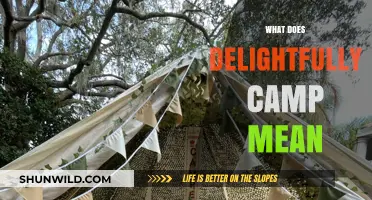 Unveiling the Whimsical World of Delightfully Camp: A Playful Exploration