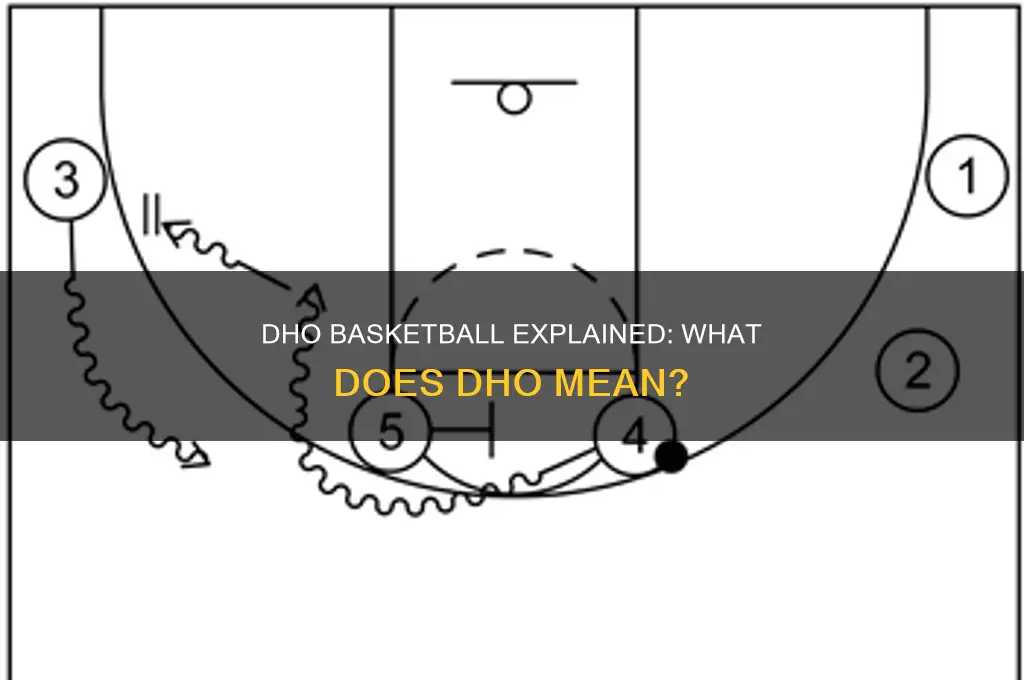 what does dho stand for basketball