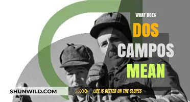 Unveiling the Meaning and Origins of the Term 'Dos Campos