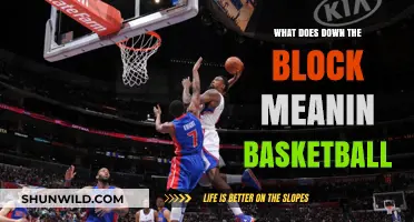 The Basketball Lingo: What Does 'Down the Block' Mean?