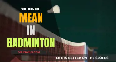 Understanding Badminton: The Drive Shot Explained
