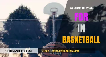 Efficiency in Basketball: What Does EFF Stand For?