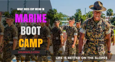 Understanding EHP: Decoding the Meaning in Marine Boot Camp Training