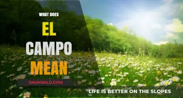 Understanding El Campo: Meaning, Origins, and Cultural Significance Explained
