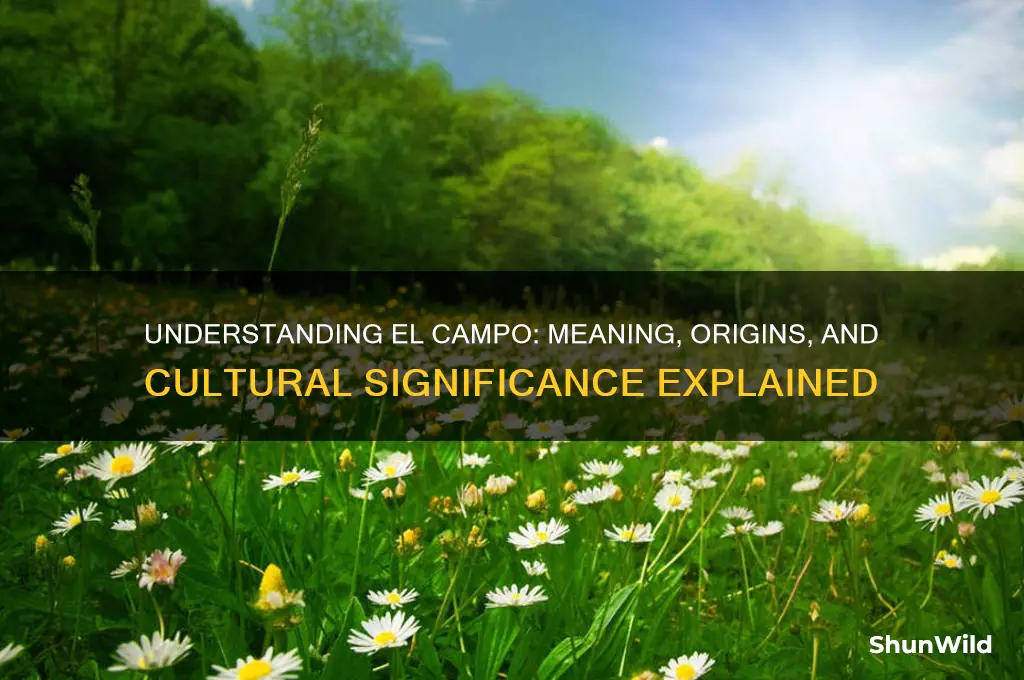 what does el campo mean