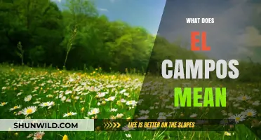 What Does El Campos Mean? Unraveling the Meaning and Origins