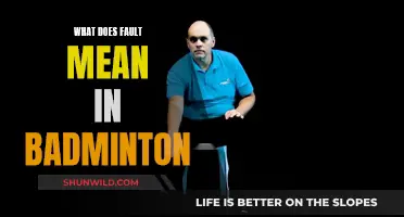 Understanding Faults: The Rules of Badminton