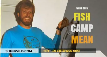 Understanding Fish Camp: Origins, Traditions, and Modern-Day Significance Explained