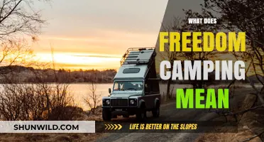 Understanding Freedom Camping: Definition, Rules, and Responsible Outdoor Practices