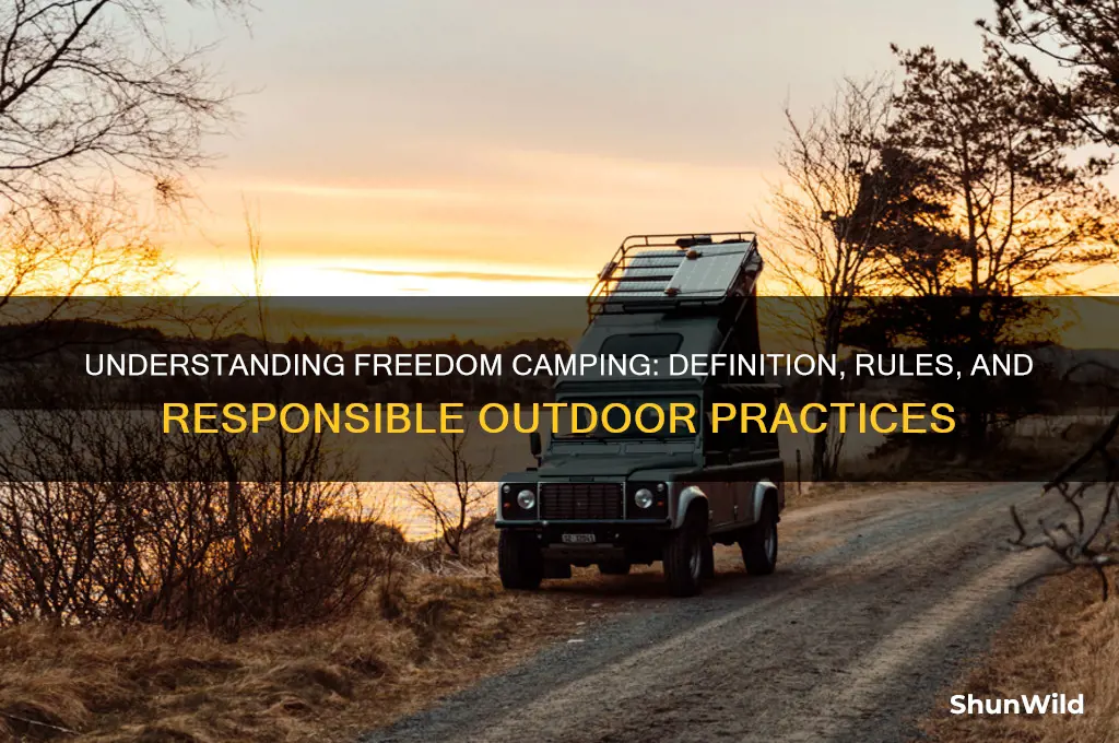 what does freedom camping mean