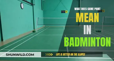 Game Point in Badminton: Understanding the Crucial Moment