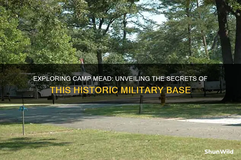 what does goes camp mead